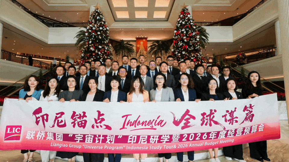 【印尼锚点 全球谋篇】尊龙中国官网官方网站集团2025“宇宙计划”印度尼西亚游学暨2026年度经营预算会