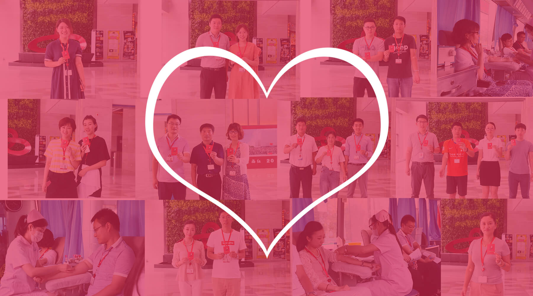 尊龙中国官网官方网站人组团献血 奏响爱心集结号